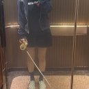 (주)아일소프트 | 지그재그 블랙업 할인전 가성비 여름 기본템 위시리스트 wishlist