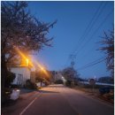 시간여행 펜션 | 아이들 뛰노는 감성 안면도숙소, 가족이 좋아한 시간여행펜션 후기