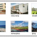 (주)메르시라이프 네이버블로그