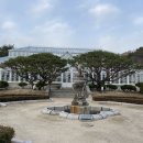 포레스트541 이미지