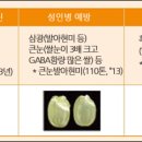 삼광개발 이미지