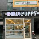마포-현장-마포-1459 | 마메시바 분양 / 동물등록 / 반려견 비행기탑승(부산에어) 후기