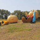 퍼피가든 이미지