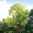 가구쟁이 정무영 이미지