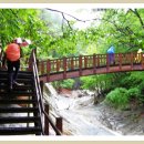 인제05-2 이미지