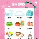 스튜디오로이클라우드 이미지