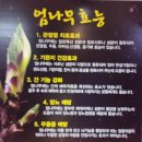 대명닭곰탕