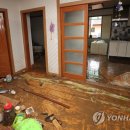 금지면 용전마을 이미지