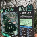 말미산정상 이미지