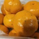 청포도한의원 이미지