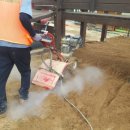 학림초교(병설) 이미지