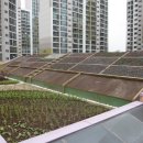 아림키즈어린이집 이미지