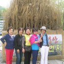 우림청과 이미지