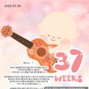 웰하이여성아동병원 | [셋째출산기록] 드디어 만난 셋째, 웰하이여성아동병원 제왕절개 출산후기