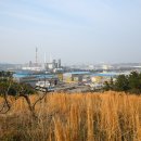 한반도소금산업 이미지