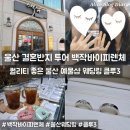 울산 결혼반지 투어 예물샵 백작바이피렌체 반지 종류 퀄리티 최고 클루3 라인