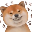 다쏘니 이미지