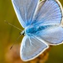 온주농장 이미지