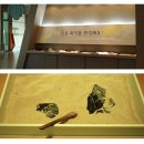 고생대자연박물관 | 강원도 태백 가볼만한곳 태백 고생대자연사박물관 아이 체험 많은 박물관
