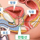 00[늙어서는 더 고운 마음으로 살기] 이미지