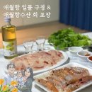 애월항수산 | 돌아기와 제주 한달살기 :: 애월항 일몰 / 애월항수산 회 포장 후기