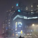 관악구 간선-9 서울신문