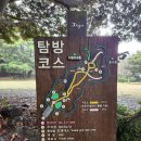 제주)2일차-2: 비자림, 테왁식당 (강추!!!)