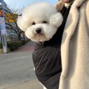 트리밍매직
