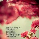 소은