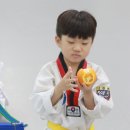 라이온태권도 이미지