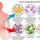 명쾌한한의원 이미지