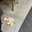 서울 밝은 웨딩홀 청담 빌라드지디 하객 후기 (ATM 위치, 동시예식, 식사, 아이폰 스냅)
