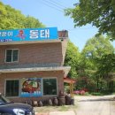 처인구 맛집 용인 동태탕 양푼이신동태 다녀온 솔직후기