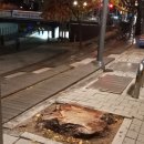 Re: 인천 중구청 이미지