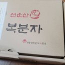 술선물로 추천 고창 선운산 복분자주