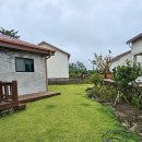 마이독스 이미지