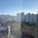 대봉교역 하단 | 대봉교역금호어울림에듀리버 외창청소｜이틀에 걸쳐 진행한 이유 !