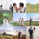 아그로엘 스튜디오