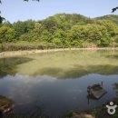 헐리우드모텔 이미지