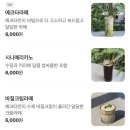더운정퍼스트501호;502호임대 | 운정 스타필드 근처 넓고 예쁜 카페 추천! 카페 예코타 내돈내산 후기 (메뉴, 주차)