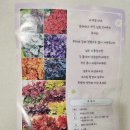 두리조경식물원 | [골든제브라 / 두리조경식물원] 야생화키우기!