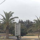 말무리목장 | 제주 아이 체험, 제주도 목장카페 밭디 말먹이주기·밭디승마 후기