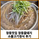 창동꿀돼지