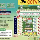 달그린캠프 이미지