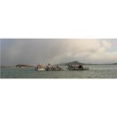 완도 장좌리 당제 및 당굿 이미지