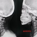 연세든든척의원 이미지