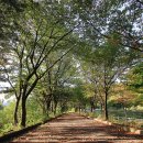 수레의산 국민여가캠핑장 이미지