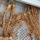 계촌농장 이미지