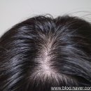 라인메드 이미지