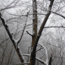 강천산군립공원(강천사) 이미지